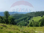 Teren 130000 mp extravilan, faneata si padure, Munteni - ... 