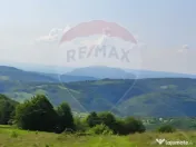 Teren 130000 mp extravilan, faneata si padure, Munteni - ... 