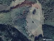 Teren 130000 mp extravilan, faneata si padure, Munteni - ... 