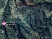Teren 130000 mp extravilan, faneata si padure, Munteni - ... 