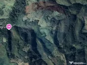 Teren 130000 mp extravilan, faneata si padure, Munteni - ... 