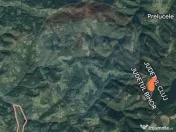 Teren 130000 mp extravilan, faneata si padure, Munteni - ... 
