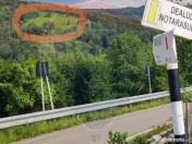 Teren 130000 mp extravilan, faneata si padure, Munteni - ... 