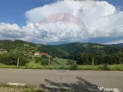 Teren 130000 mp extravilan, faneata si padure, Munteni - ... 