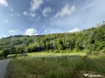 Teren intravilan de 4558 mp