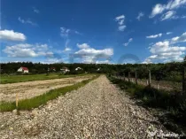 RECO Teren Intravilan, Alparea, Comuna Osorhei