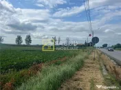 Teren intravilan, 8333 mp, la E85, comuna Secuienii Noi, jud 