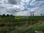 Teren intravilan, 8333 mp, la E85, comuna Secuienii Noi, jud 
