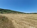 RECO parcele Betfia