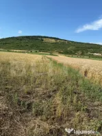 Teren intravin 2000 mp in Soimus