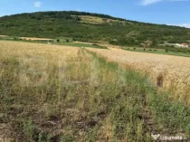 Teren intravin 2000 mp in Soimus