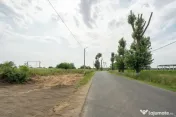 Teren Cernica,pentru Dezvoltare Rezidențială sau Industria 