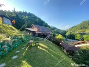 Pensiune cu 7 unitati de cazare in Apuseni judetul Alba 