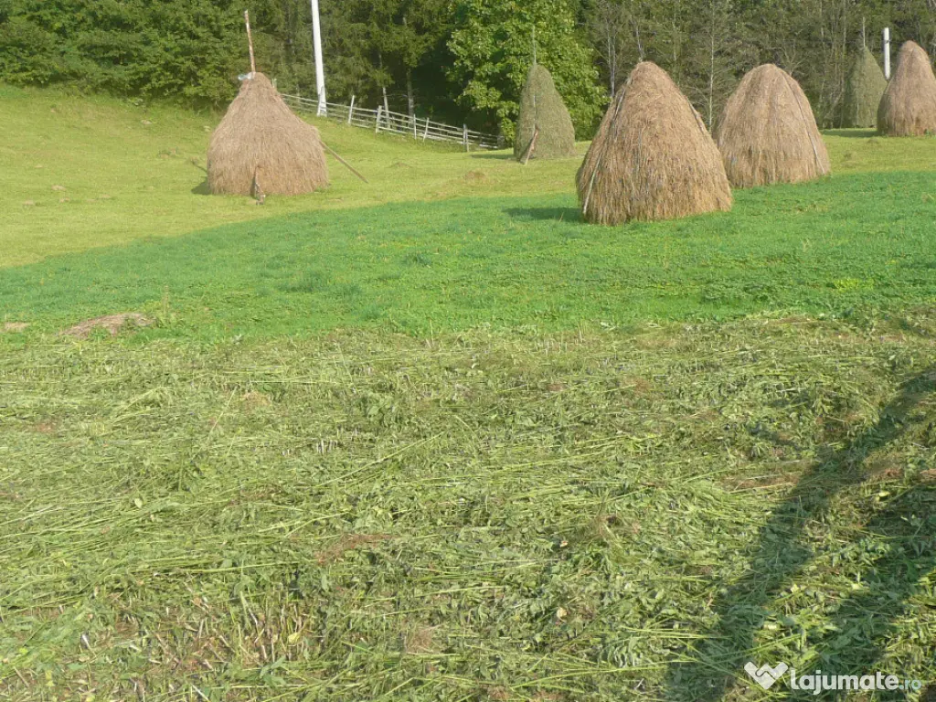 Teren intravilan situat in Traisteni