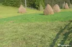 Teren intravilan situat in Traisteni