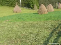 Teren intravilan situat in Traisteni