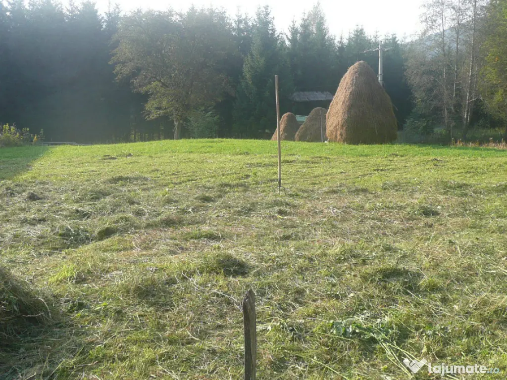 Teren intravilan situat in Traisteni