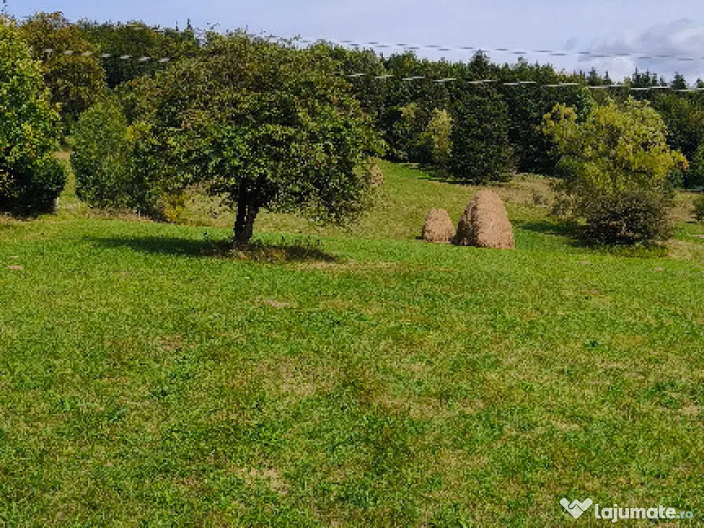 Teren intravilan situat in Traisteni