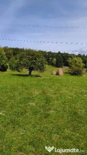 Teren intravilan situat in Traisteni 