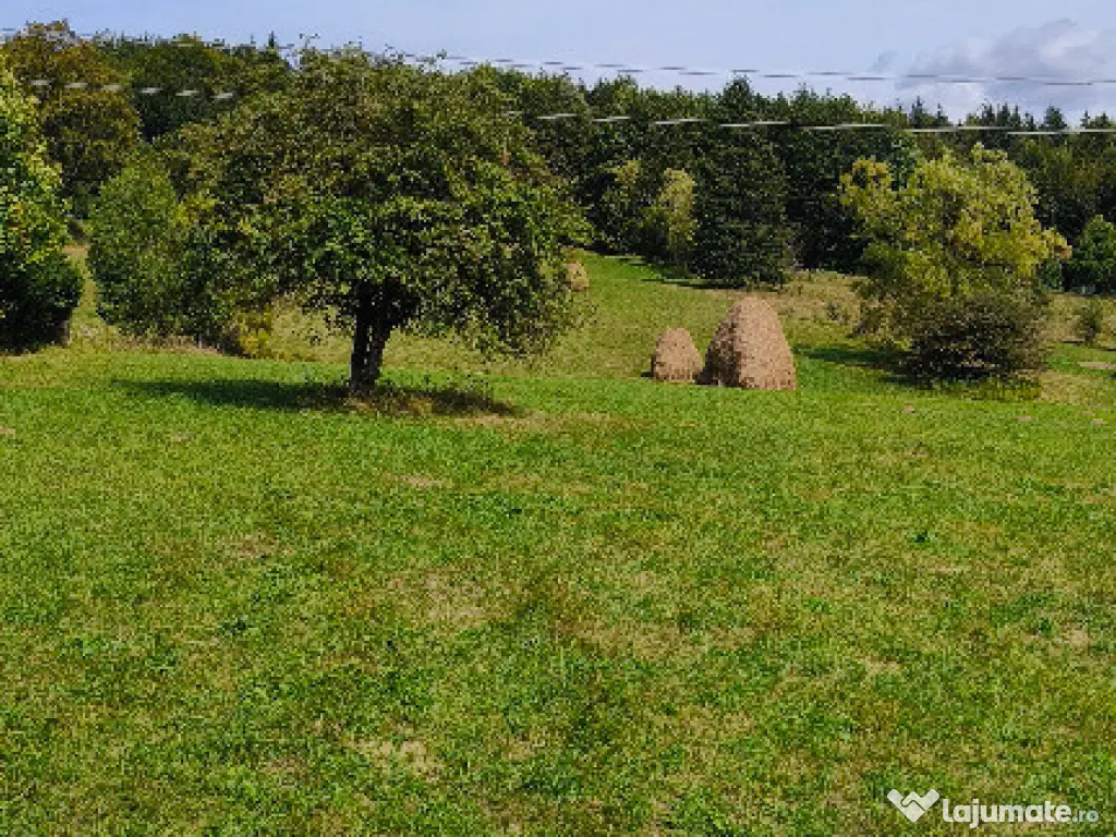Teren intravilan situat in Traisteni