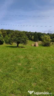 Teren intravilan situat in Traisteni 