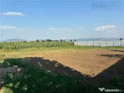 TEREN INTRAVILAN, 738 MP, HARMAN 