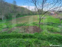 Teren 6650 mp, cu casa nefinalizata de 111 mp, in Nisipoasa