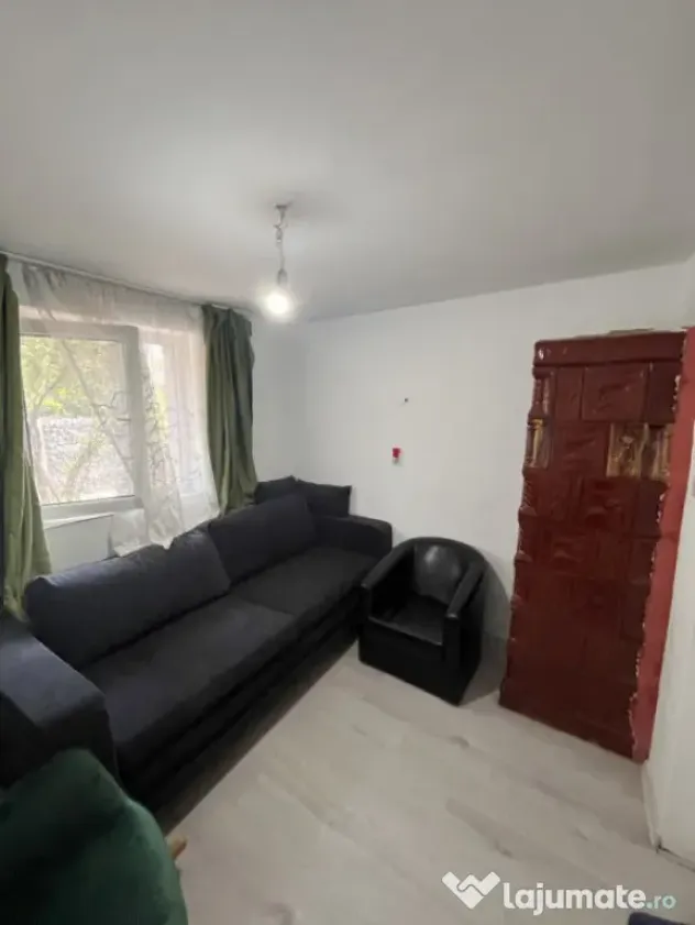 Casa de vacanta - Munteni Buzau - Jutetul Ialomita - Curte 2