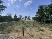 Casa de vacanta - Munteni Buzau - Jutetul Ialomita - Curte 2 