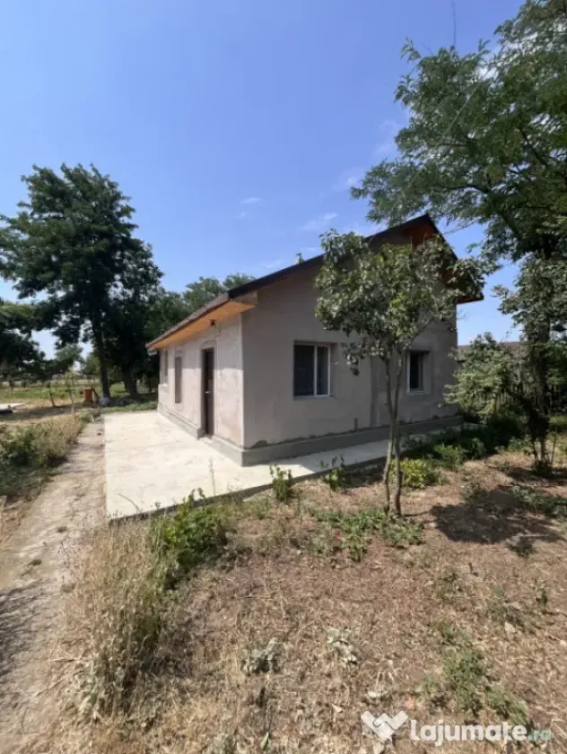 Casa de vacanta - Munteni Buzau - Jutetul Ialomita - Curte 2