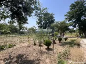 Casa de vacanta - Munteni Buzau - Jutetul Ialomita - Curte 2 