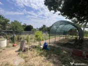 Casa de vacanta - Munteni Buzau - Jutetul Ialomita - Curte 2 