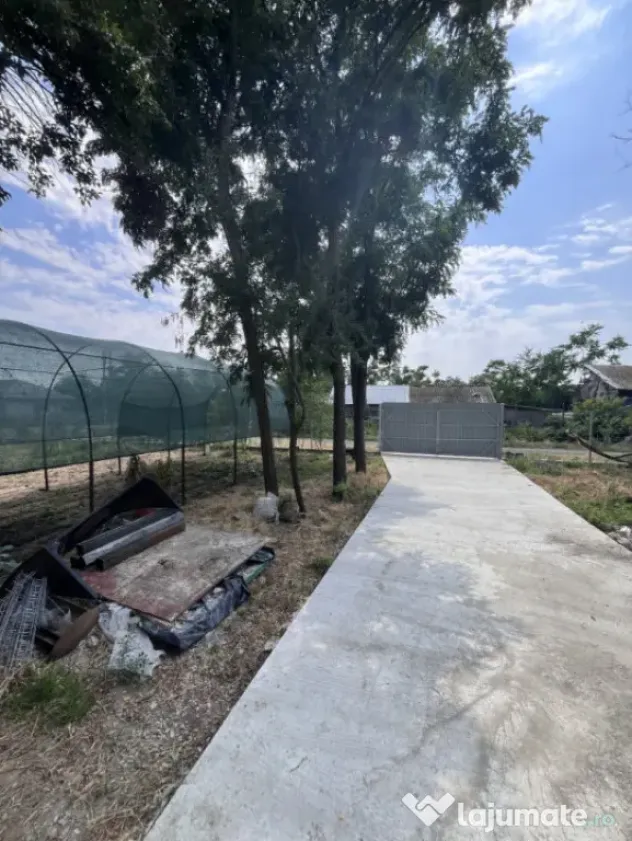 Casa de vacanta - Munteni Buzau - Jutetul Ialomita - Curte 2