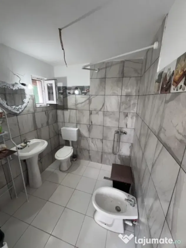 Casa de vacanta - Munteni Buzau - Jutetul Ialomita - Curte 2