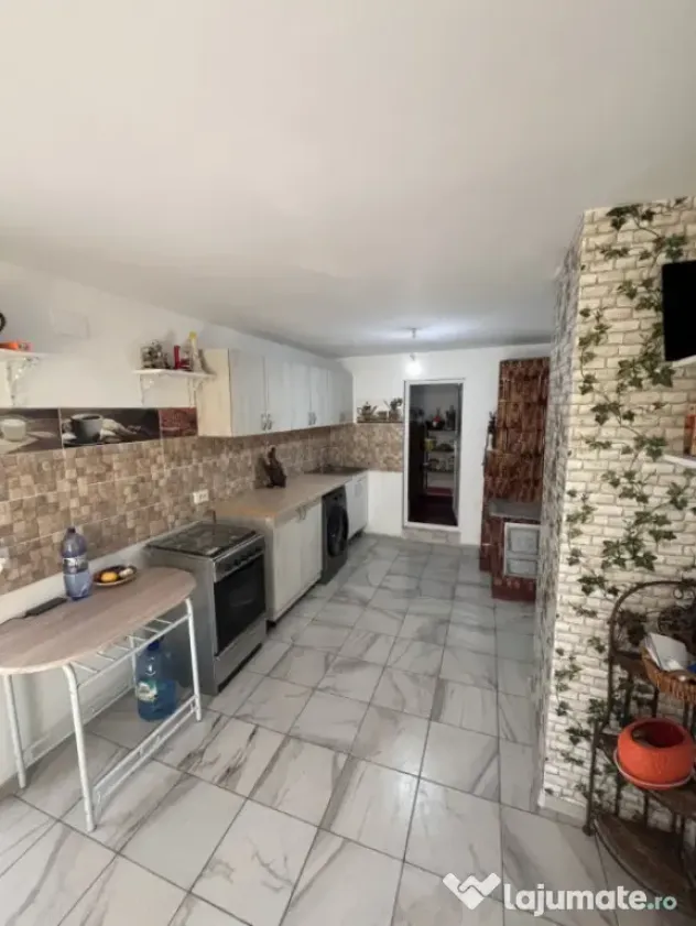 Casa de vacanta - Munteni Buzau - Jutetul Ialomita - Curte 2