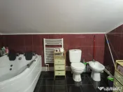 Casa P + M - Zona Vlaicu + spatiu comercial 