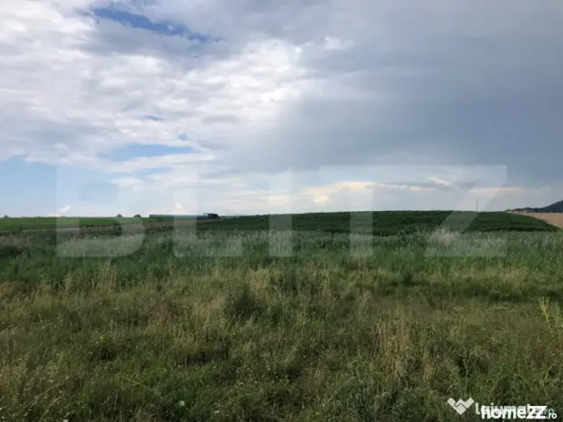 Teren Intravilan de 500 mp în Sânpetru, Brașov – Zonă - Brasov (Brasov)