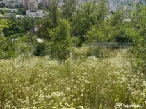 Casă Str. Negoiului, 2.249 mp teren, zonă liniștită, ved