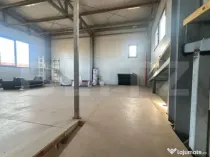 Hala de vanzare 365 mp, Mosnita Noua!