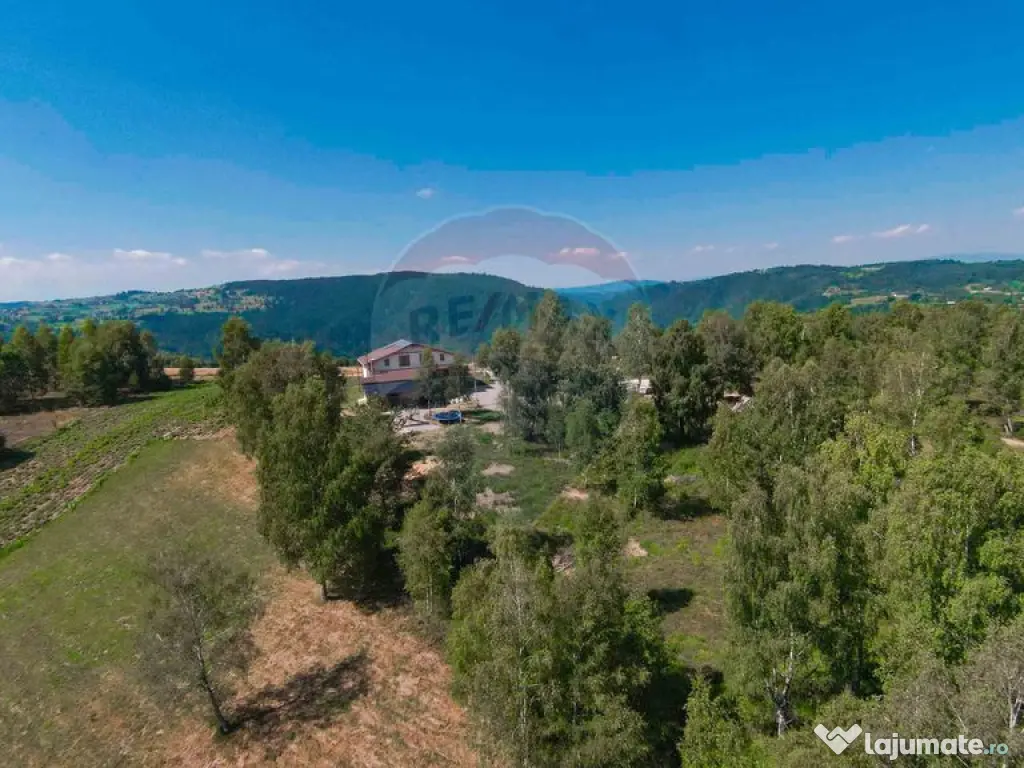 Pensiune de Vânzare cu 8 dormitoare, Rișca, Jud. Cluj