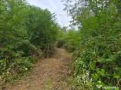 Teren 2552 mp, panorama superba Mosoaia Hintesti -Strada Ba 