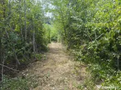 Teren 2552 mp, panorama superba Mosoaia Hintesti -Strada Ba 