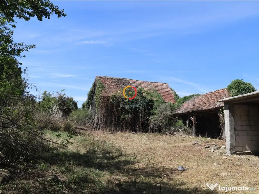 Casa traditionala Bruiu Somartin judet Sibiu