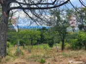 Teren generos 2186 mp cu casă bătrânească – Copăce... 