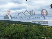 Teren generos 2186 mp cu casă bătrânească – Copăce... 