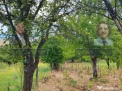 Teren generos 2186 mp cu casă bătrânească – Copăce... 