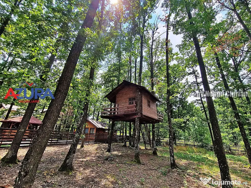 Casă de vacanță în pădure, 10 km de Pitești - Babana