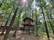 Casă de vacanță în pădure, 10 km de Pitești - Babana 