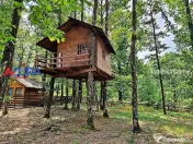 Casă de vacanță în pădure, 10 km de Pitești - Babana 