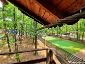 Casă de vacanță în pădure, 10 km de Pitești - Babana 